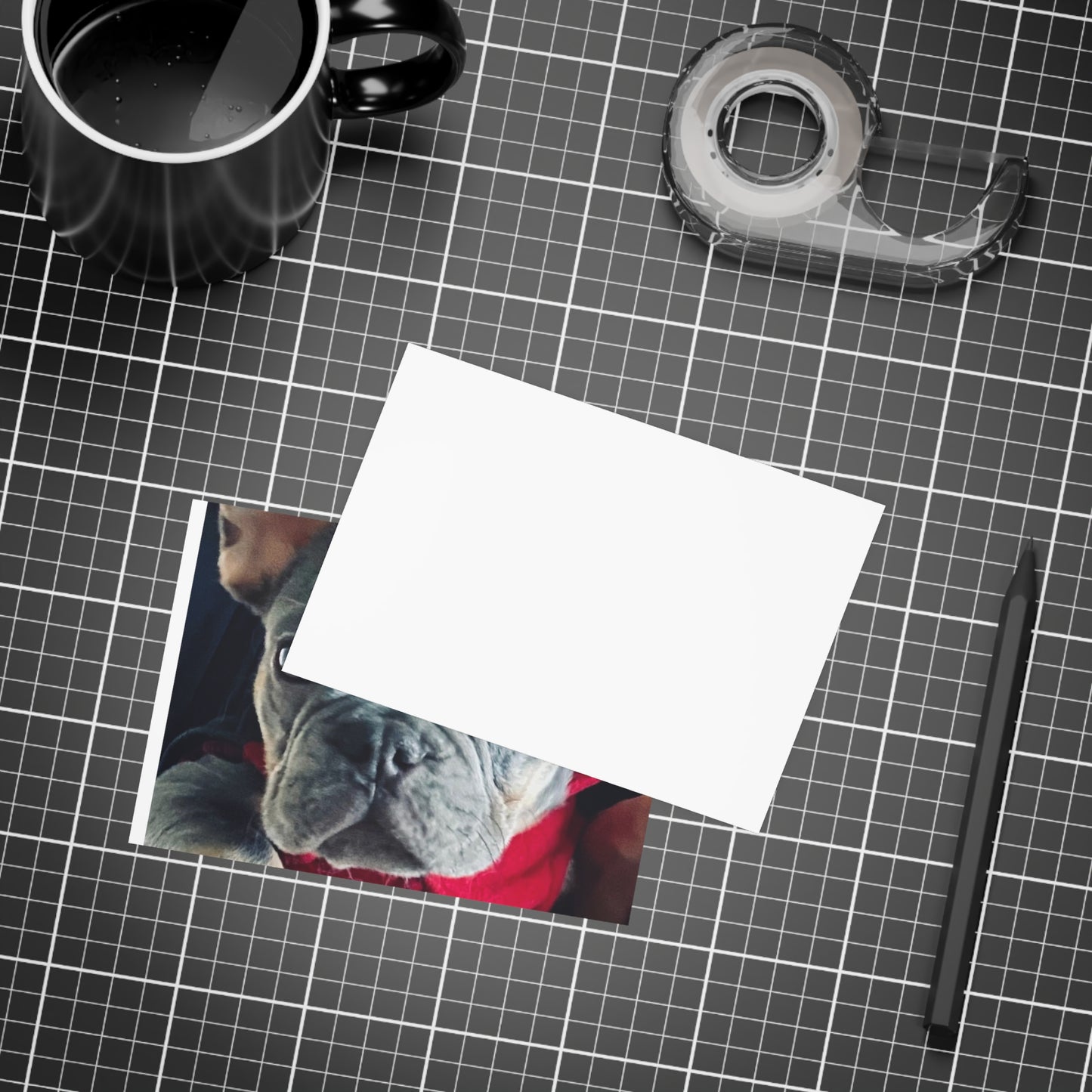 Romeo The Frenchie Postcard Bundles (envelopes included)