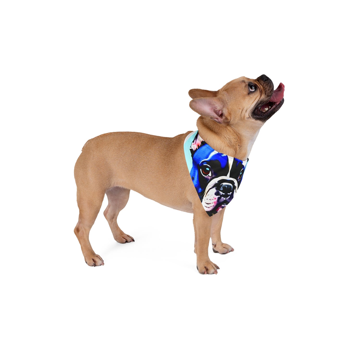 Blue Frenchie Pet Bandana #2