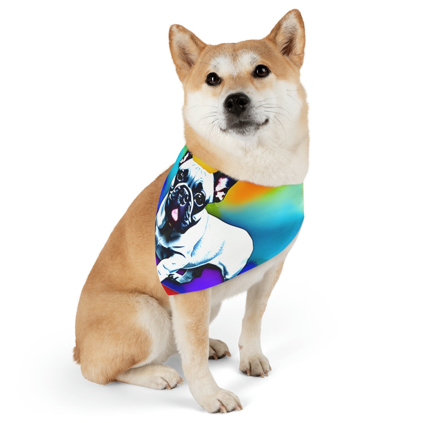Frenchie on a Skateboard #3 Pet Bandana Collar