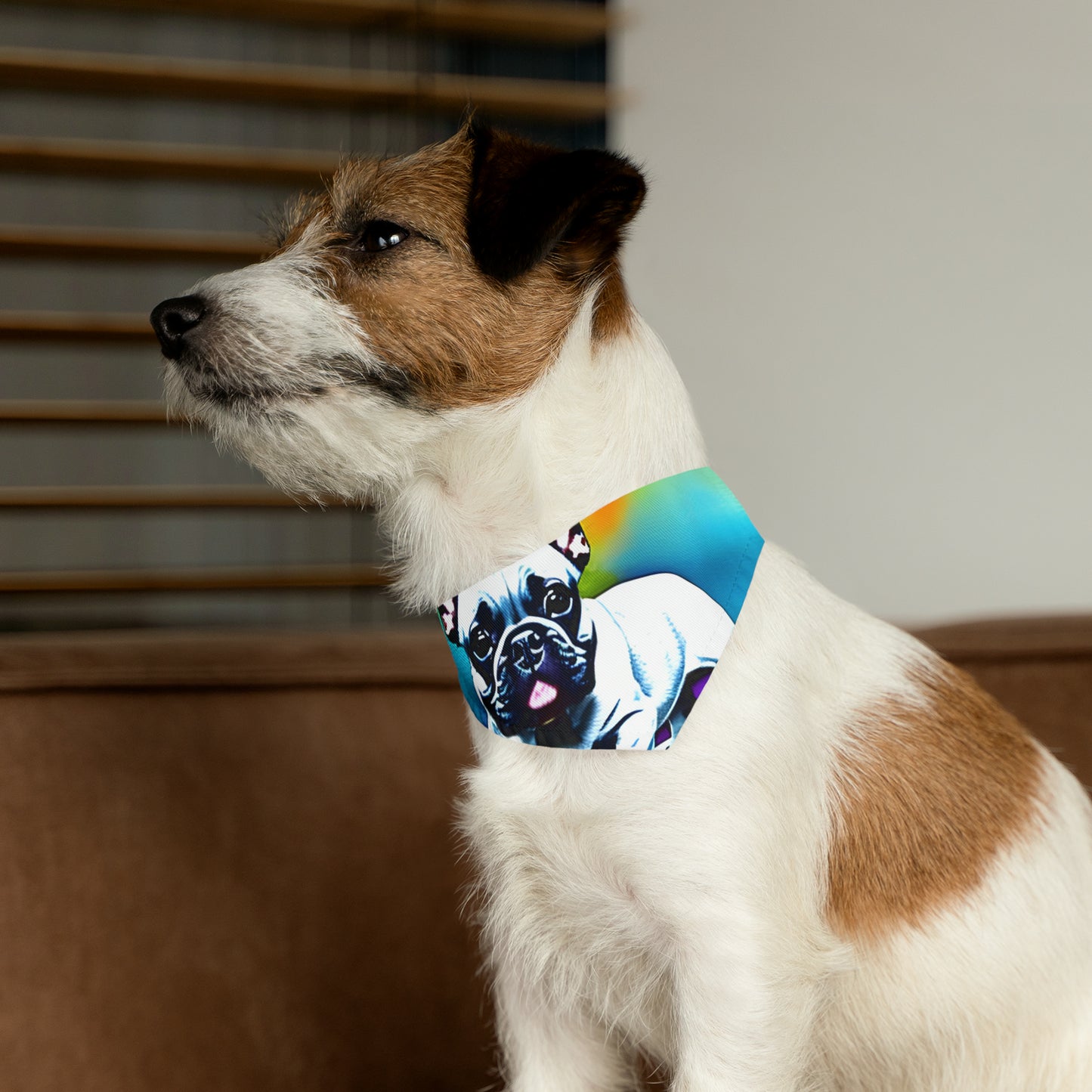 Frenchie on a Skateboard #3 Pet Bandana Collar