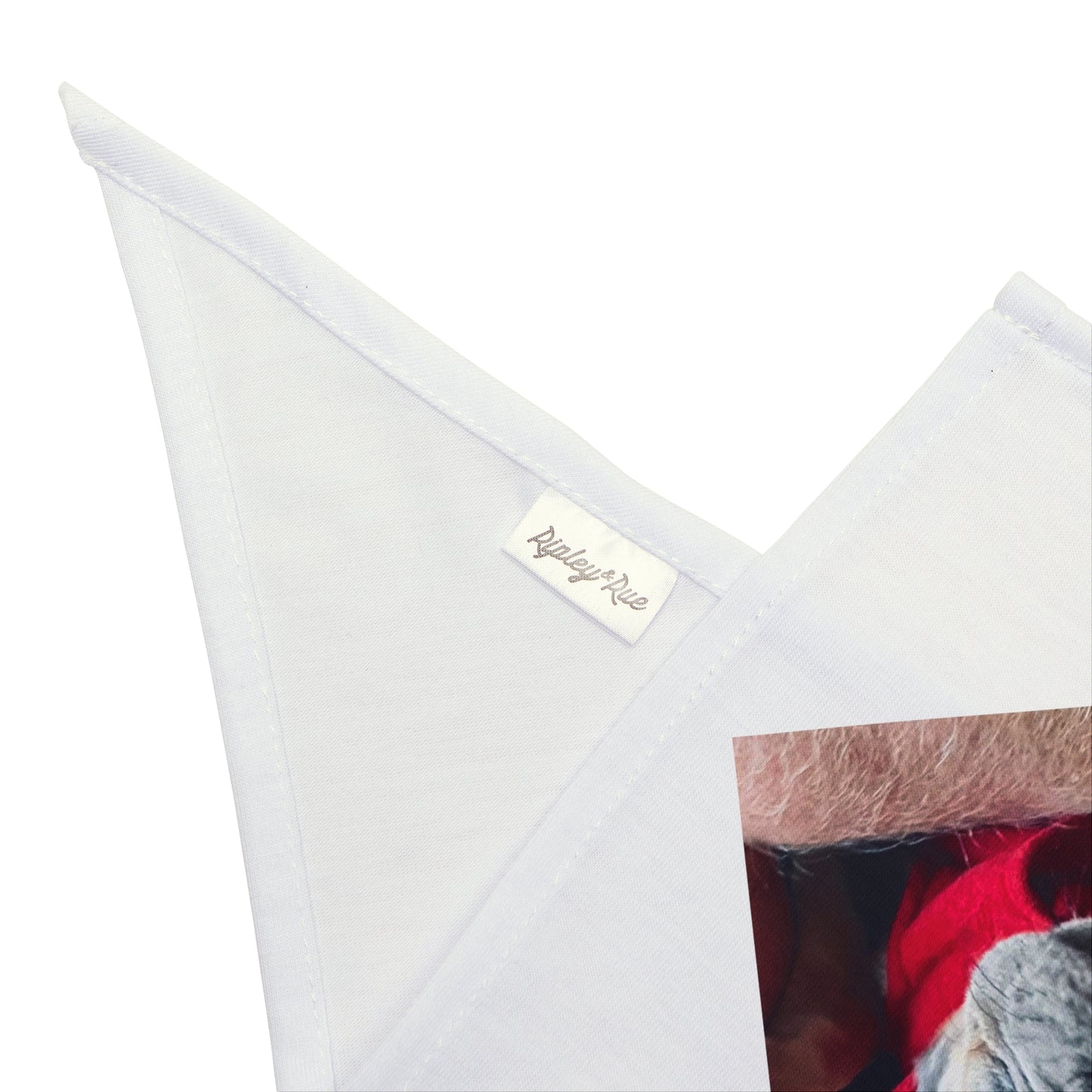 Romeo The Frenchie Pet Bandana