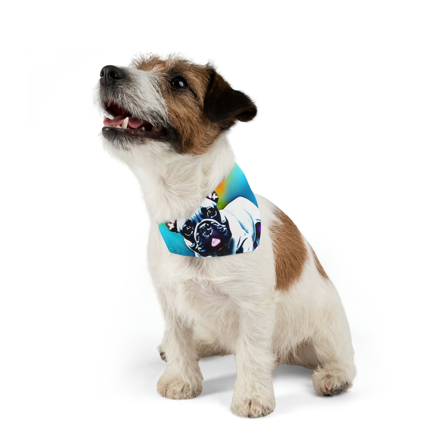 Frenchie on a Skateboard #3 Pet Bandana Collar