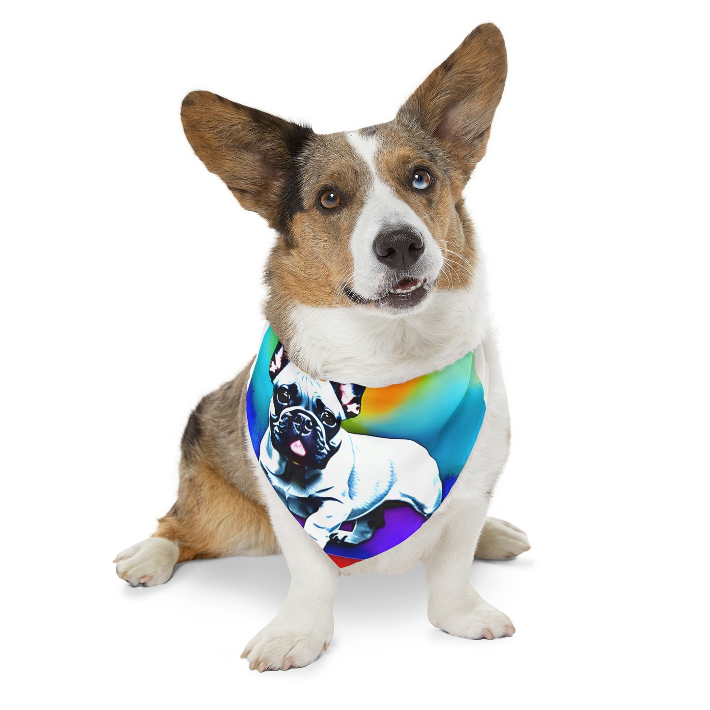 Frenchie on a Skateboard #3 Pet Bandana Collar
