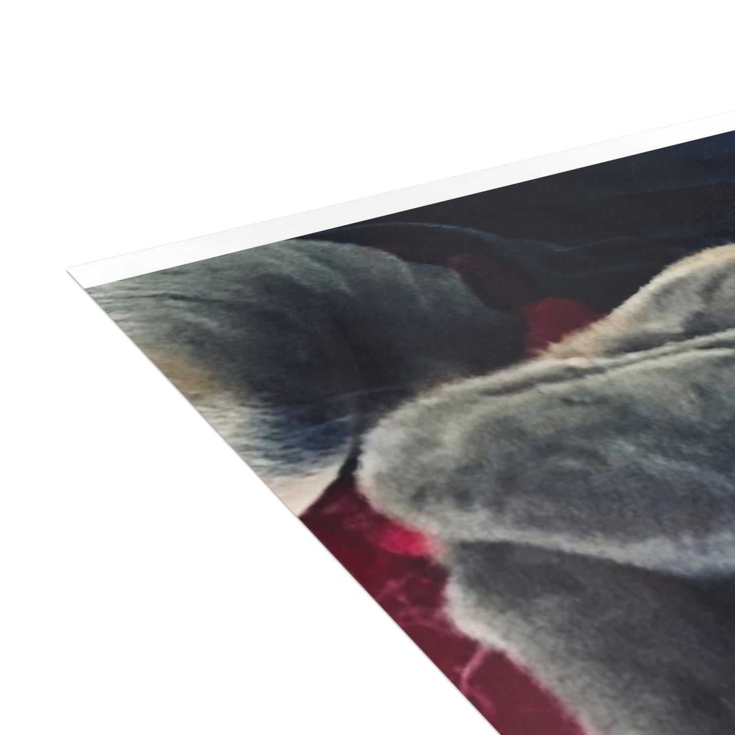 Romeo The Frenchie Postcard Bundles (envelopes included)