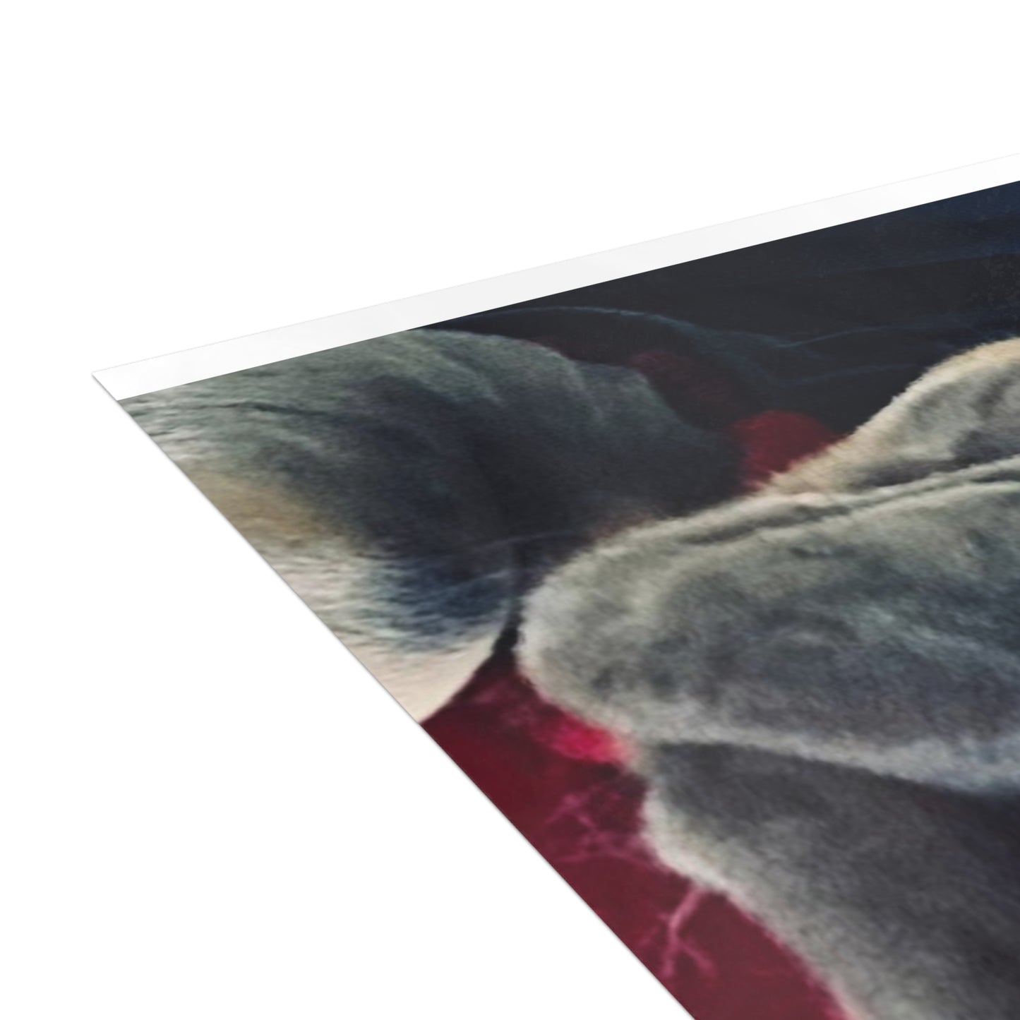 Romeo The Frenchie Postcard Bundles (envelopes included)