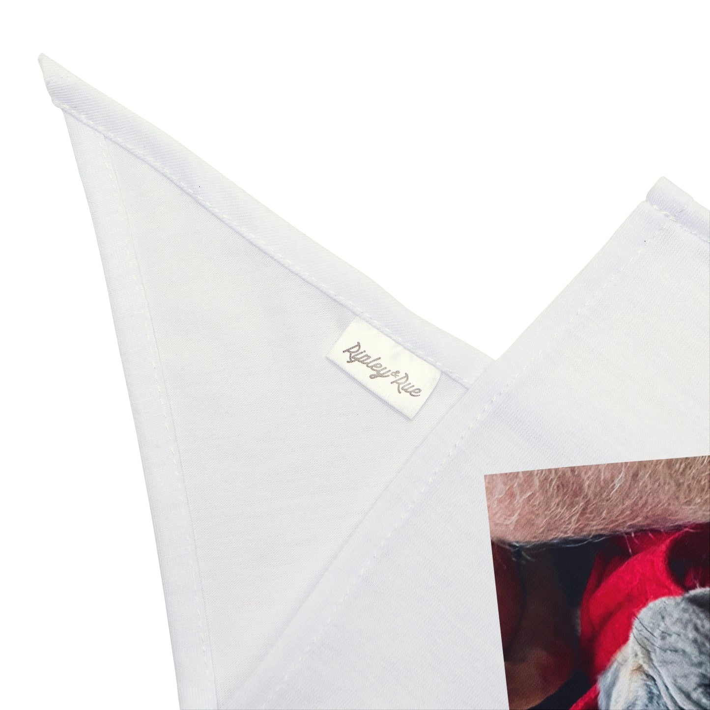 Romeo The Frenchie Pet Bandana