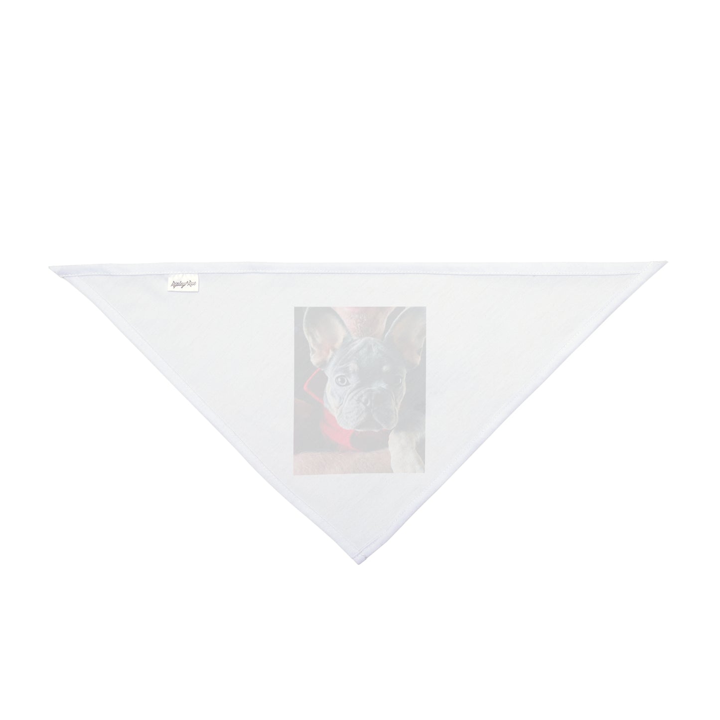 Romeo The Frenchie Pet Bandana
