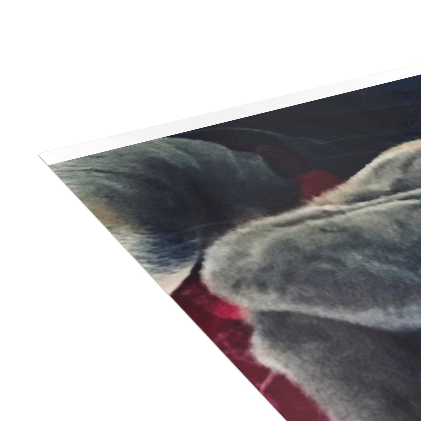 Romeo The Frenchie Postcard Bundles (envelopes included)