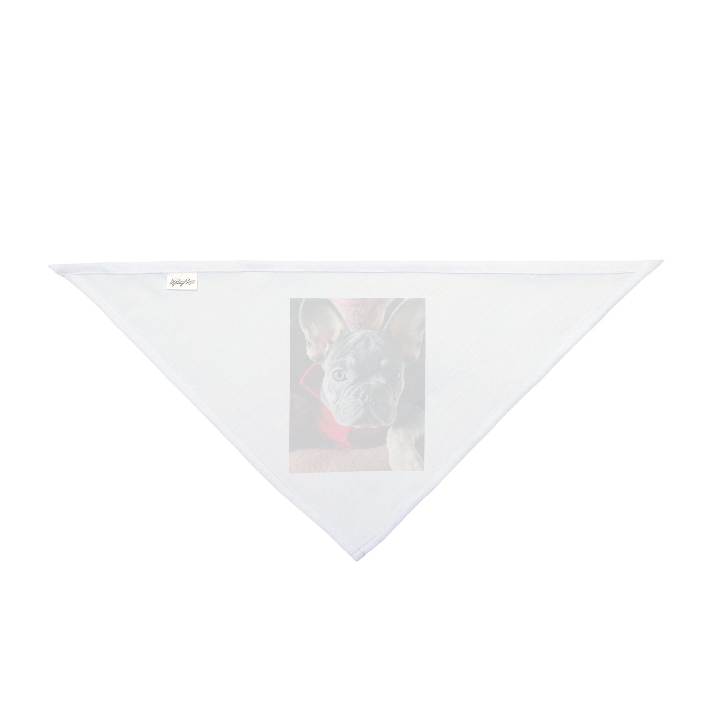 Romeo The Frenchie Pet Bandana