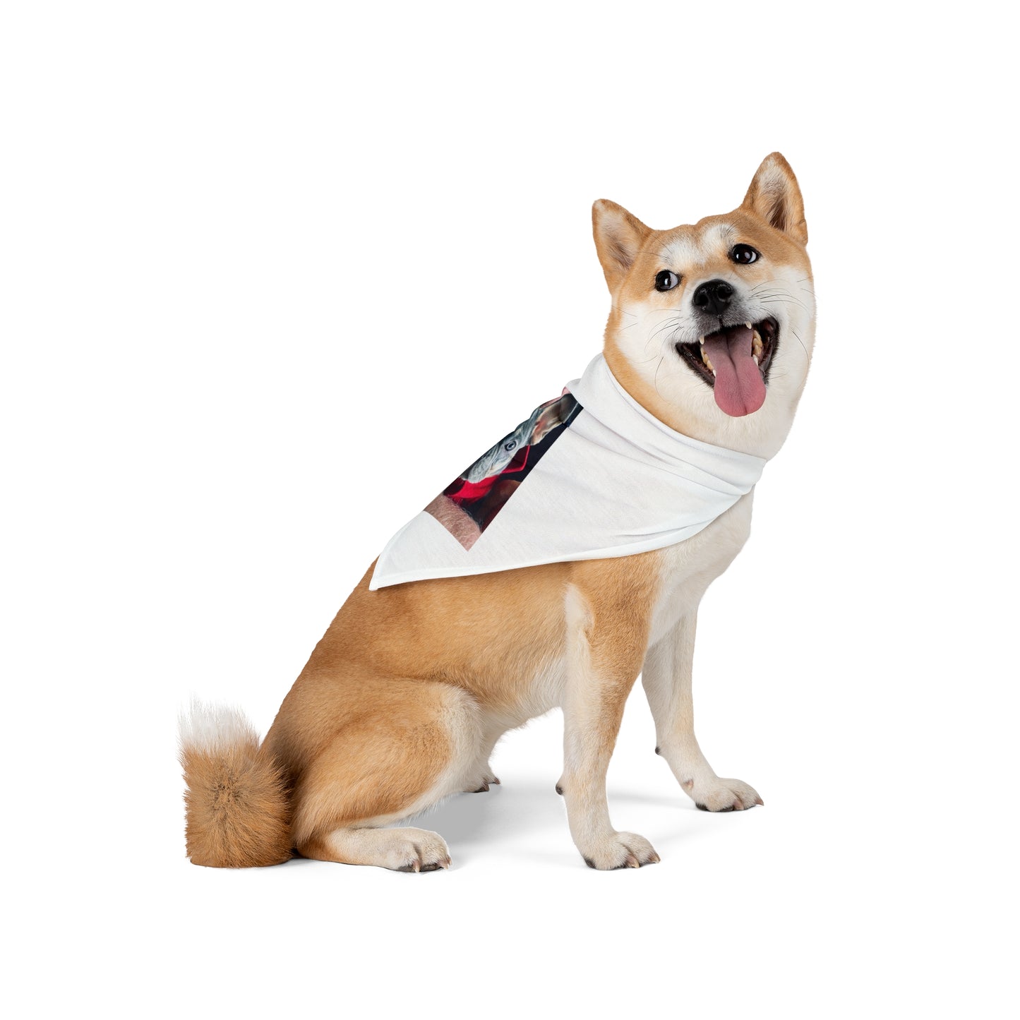 Romeo The Frenchie Pet Bandana