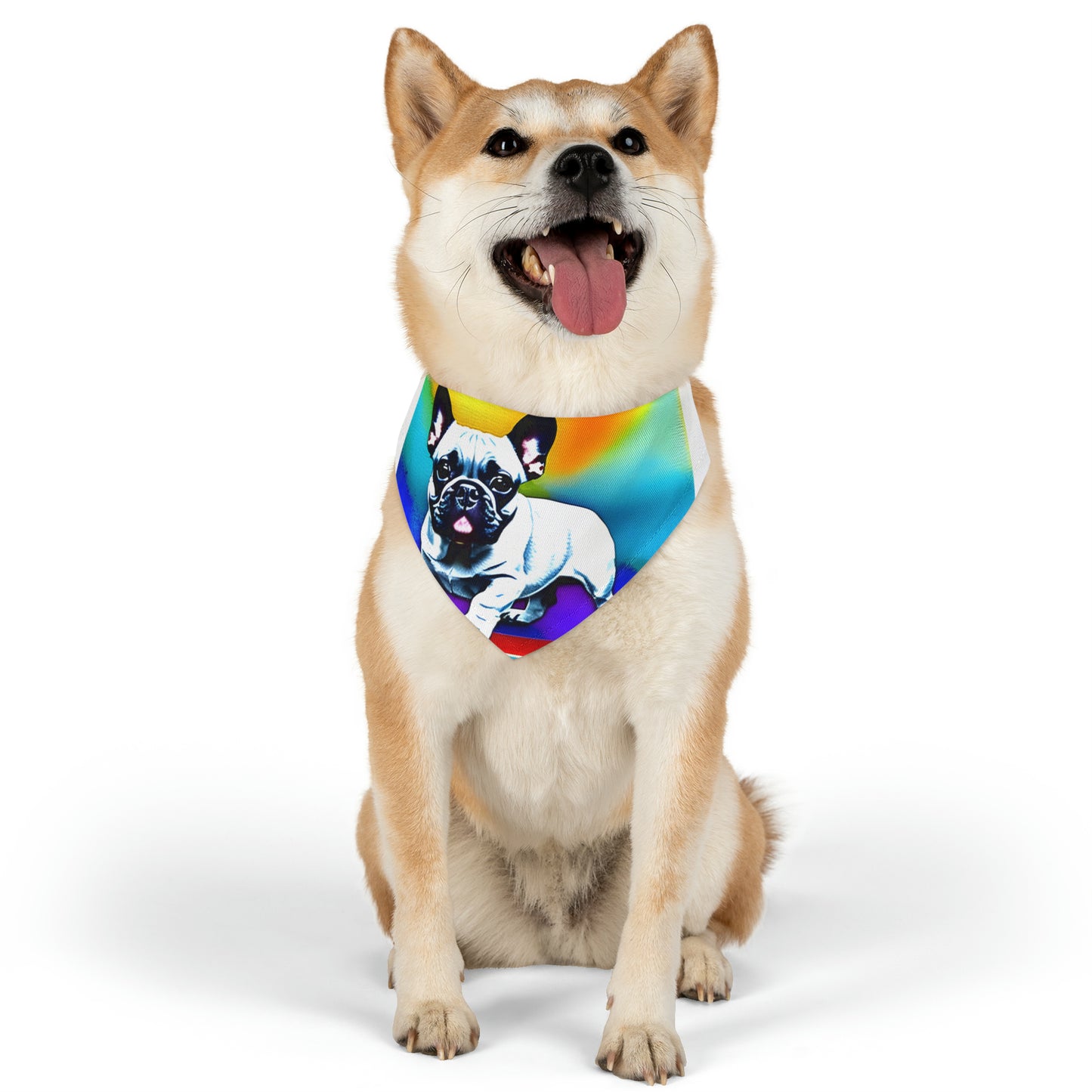 Frenchie on a Skateboard #3 Pet Bandana Collar