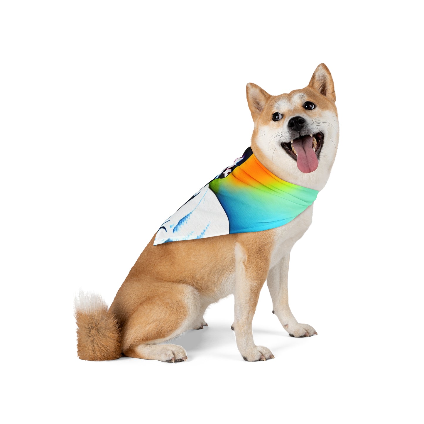 Frenchie on a Skateboard #3 Pet Bandana #2