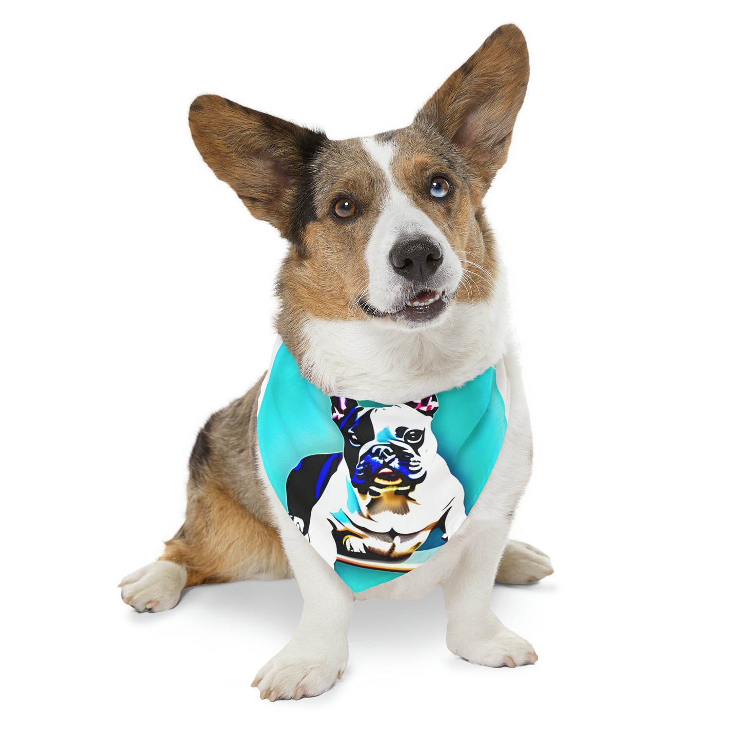 Frenchie on a Skateboard Pet Bandana Collar