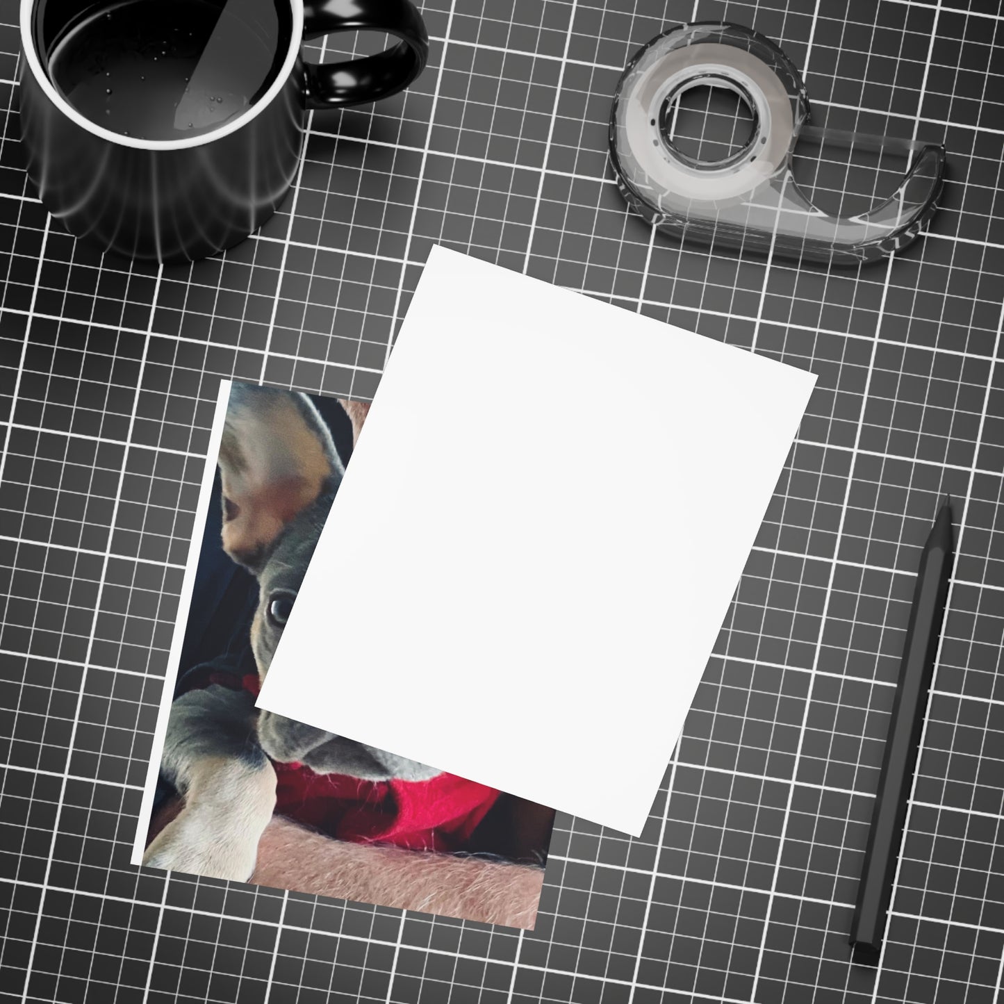 Romeo The Frenchie Postcard Bundles (envelopes included)