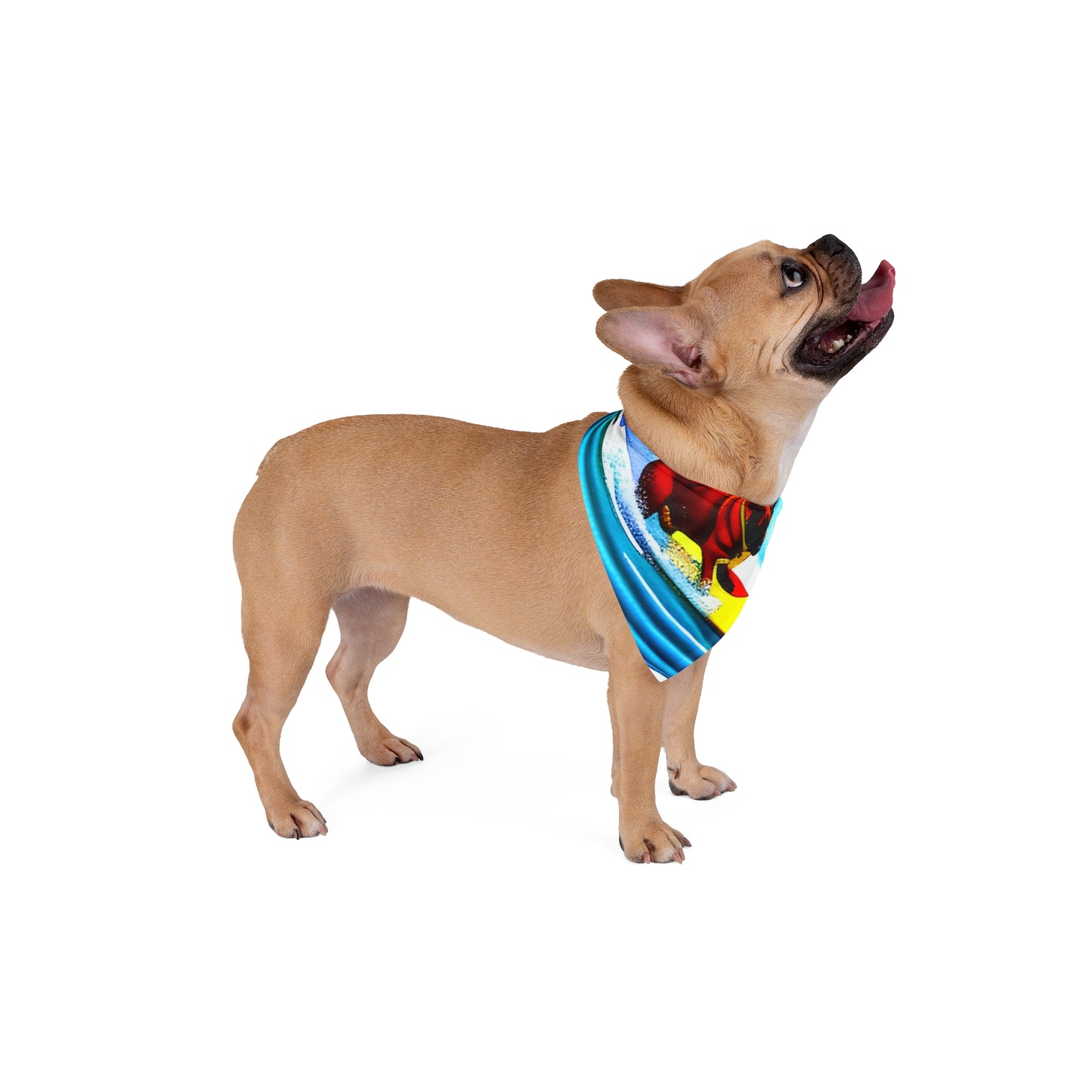 Surfing Frenchie Pet Bandana