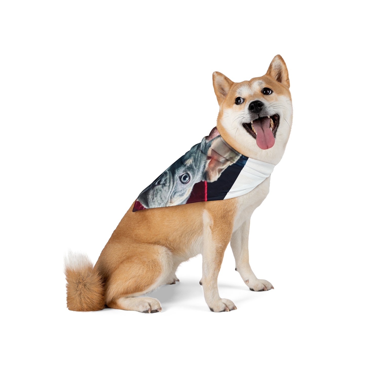 Romeo The Frenchie Pet Bandana #2