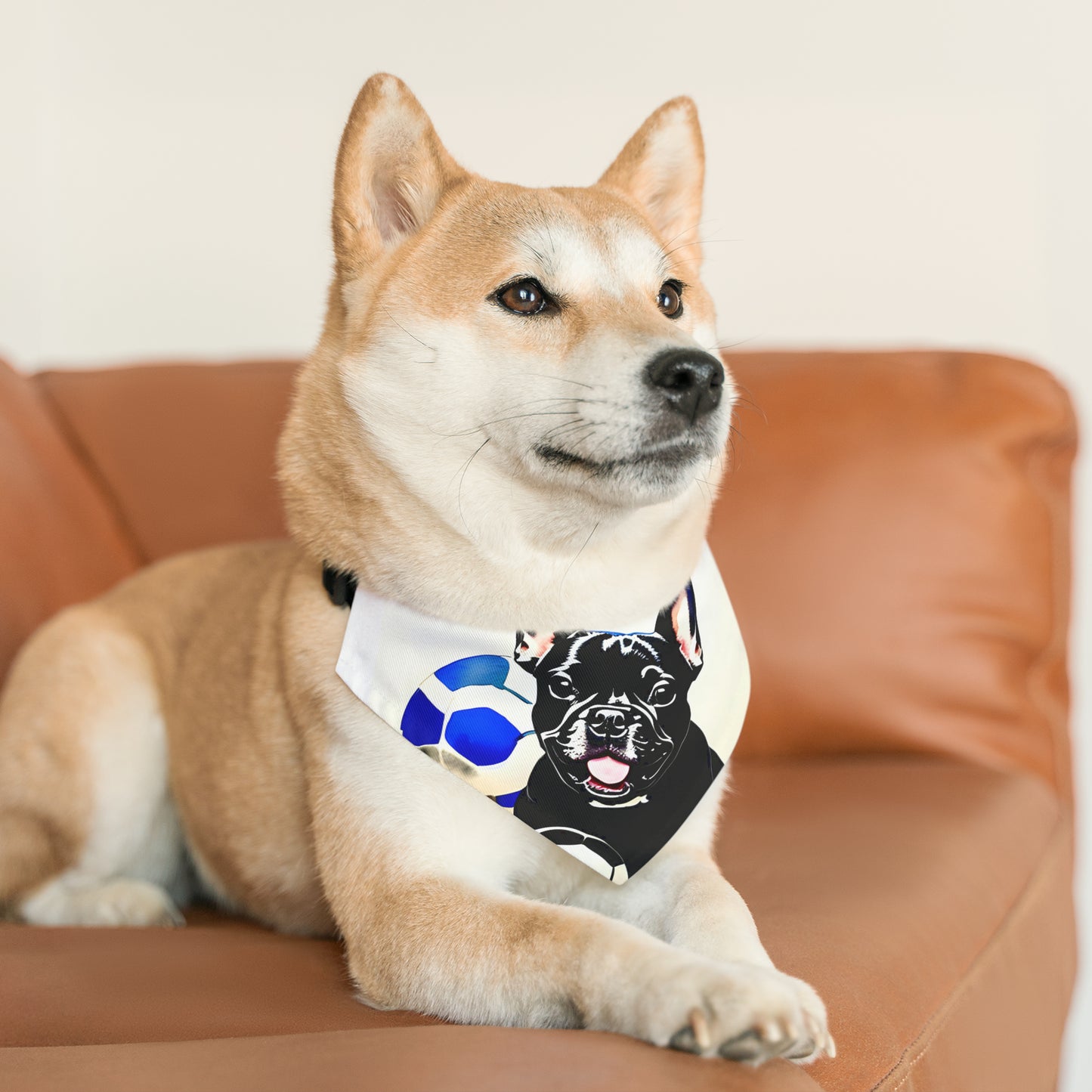 Frenchie with a Soccer Ball Pet Bandana Collar