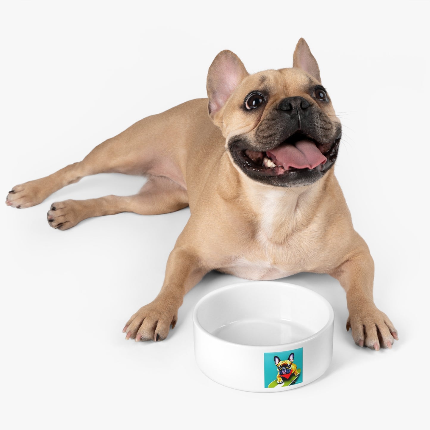 Frenchie on a Skateboard #2 Pet Bowl