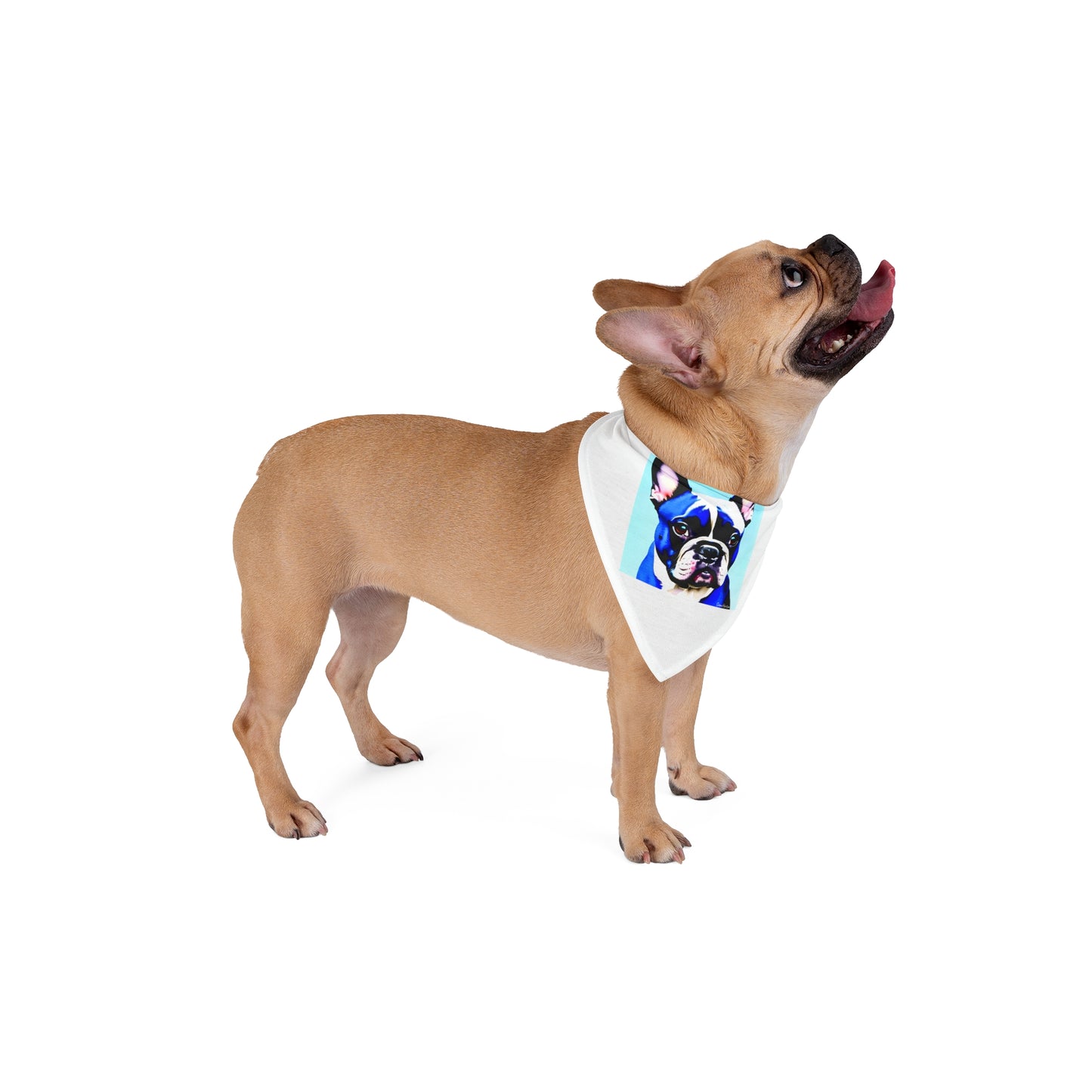 Blue Frenchie Pet Bandana