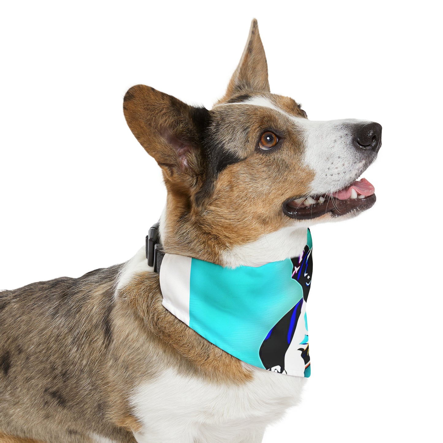 Frenchie on a Skateboard Pet Bandana Collar
