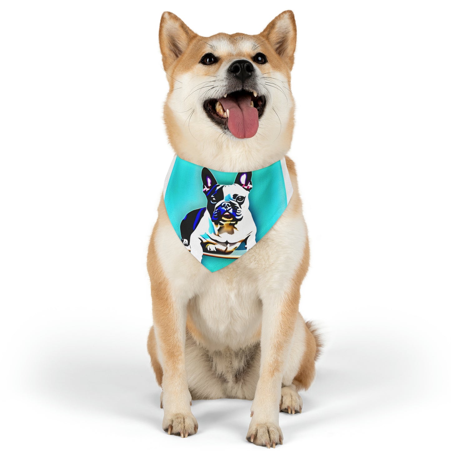 Frenchie on a Skateboard Pet Bandana Collar