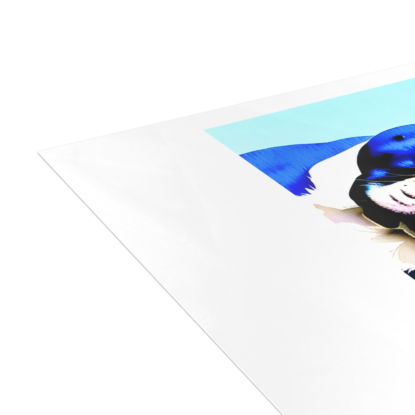 Blue Frenchie Postcard Bundles (envelopes included)