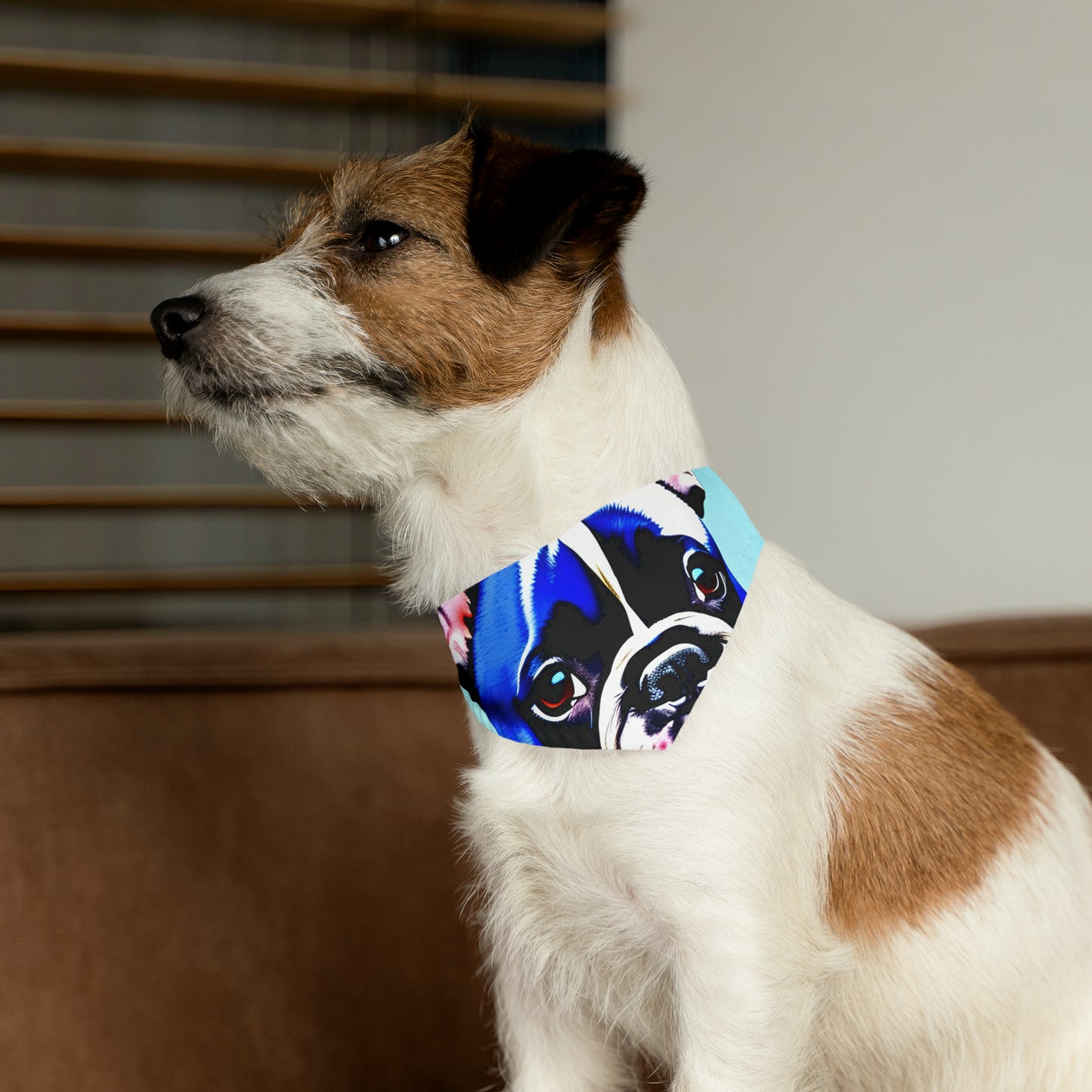 Blue Frenchie Pet Bandana Collar