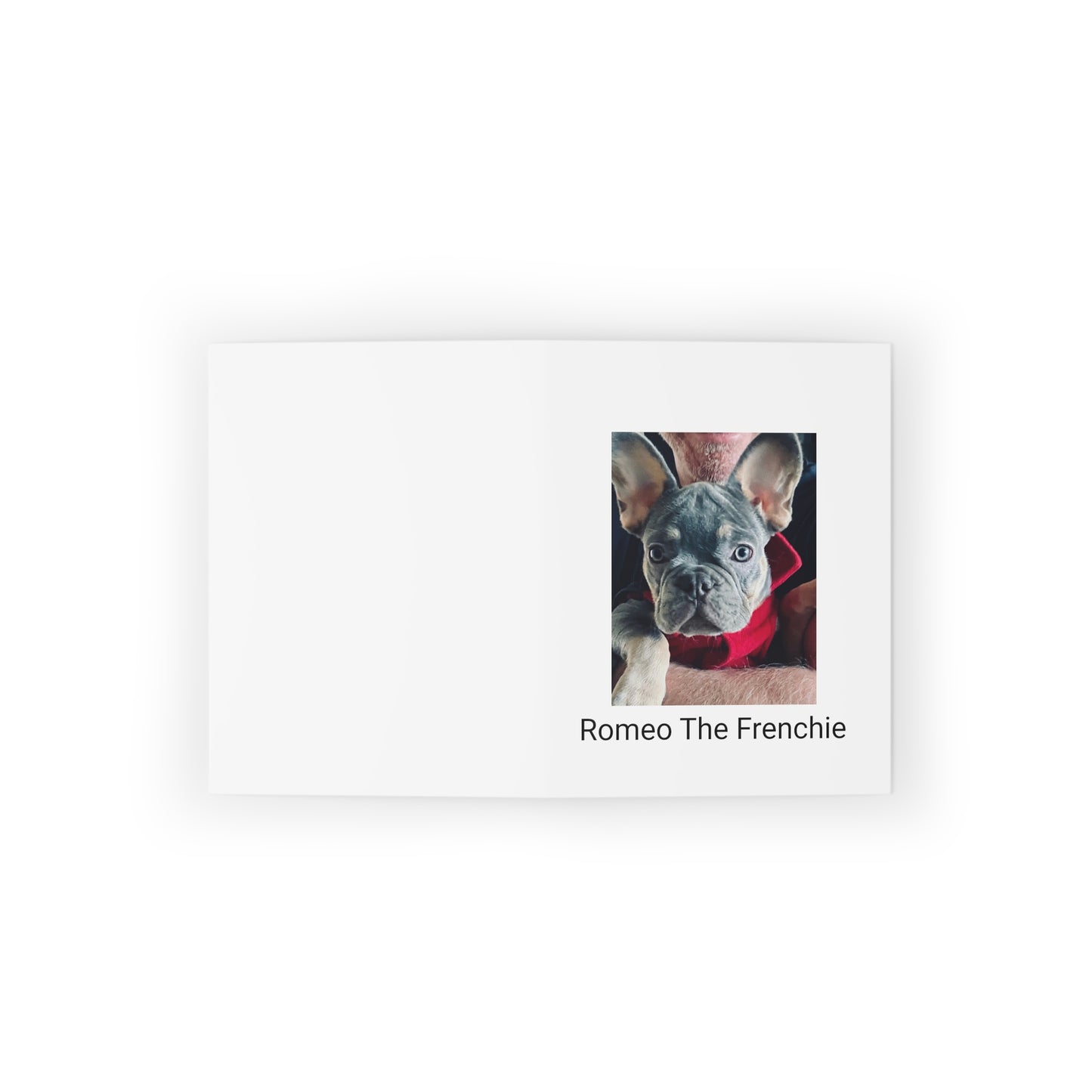 Romeo The Frenchie Greeting cards (8, 16, and 24 pcs)