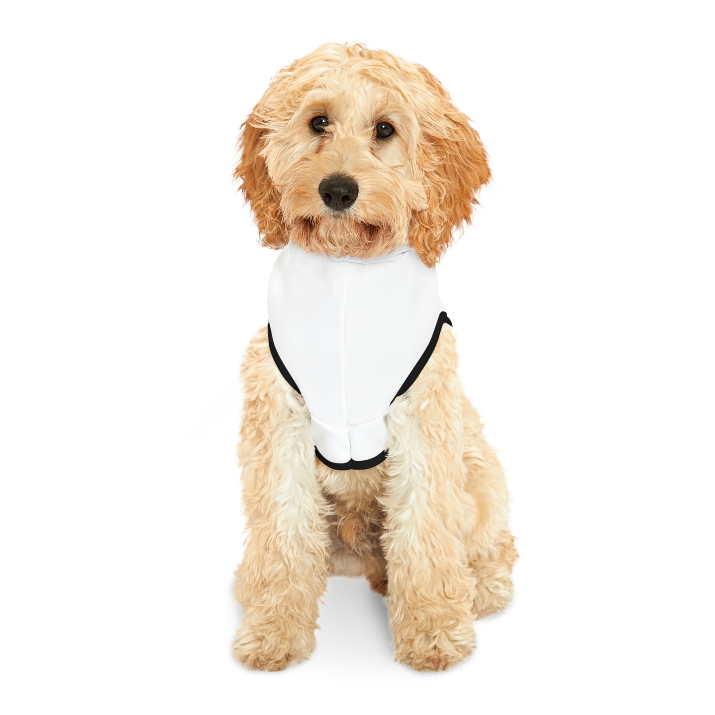 Surfing Frenchie Pet Hoodie