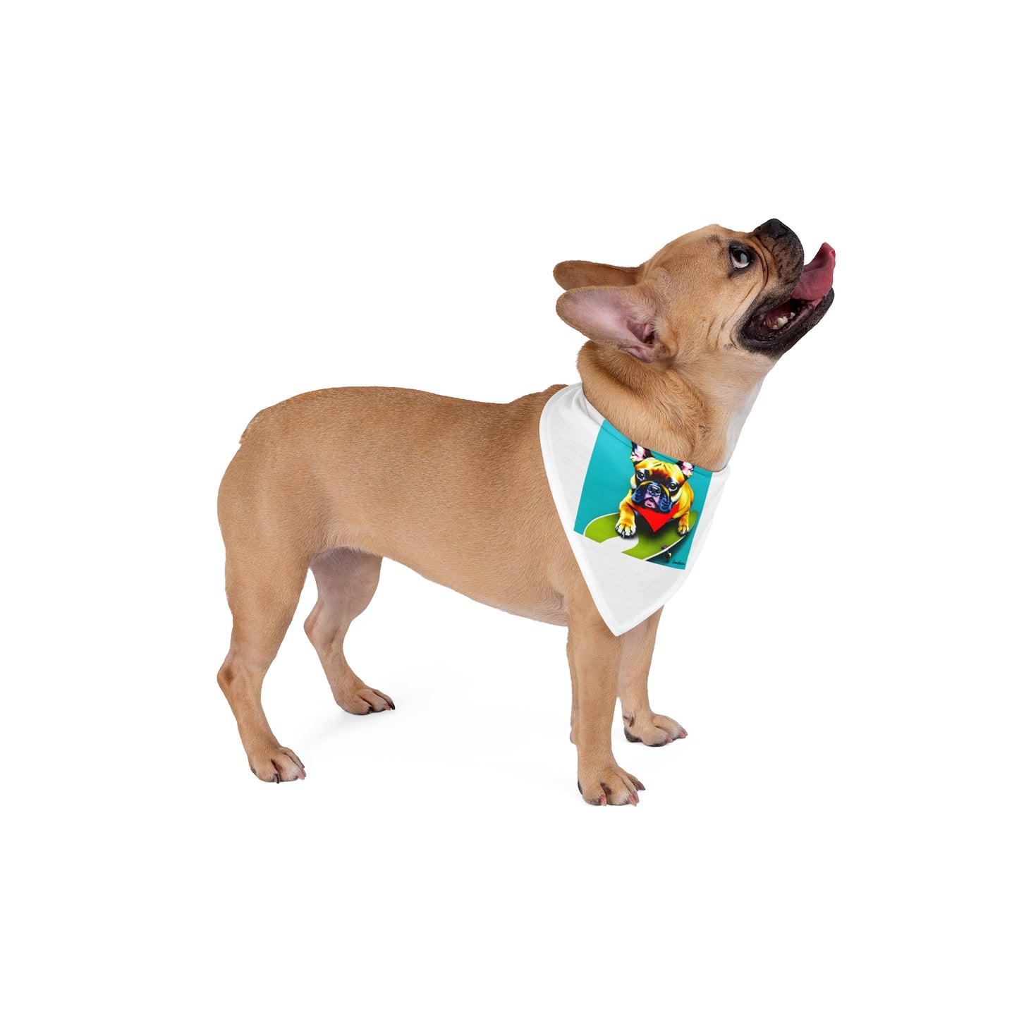Frenchie on a Skateboard #2 Pet Bandana