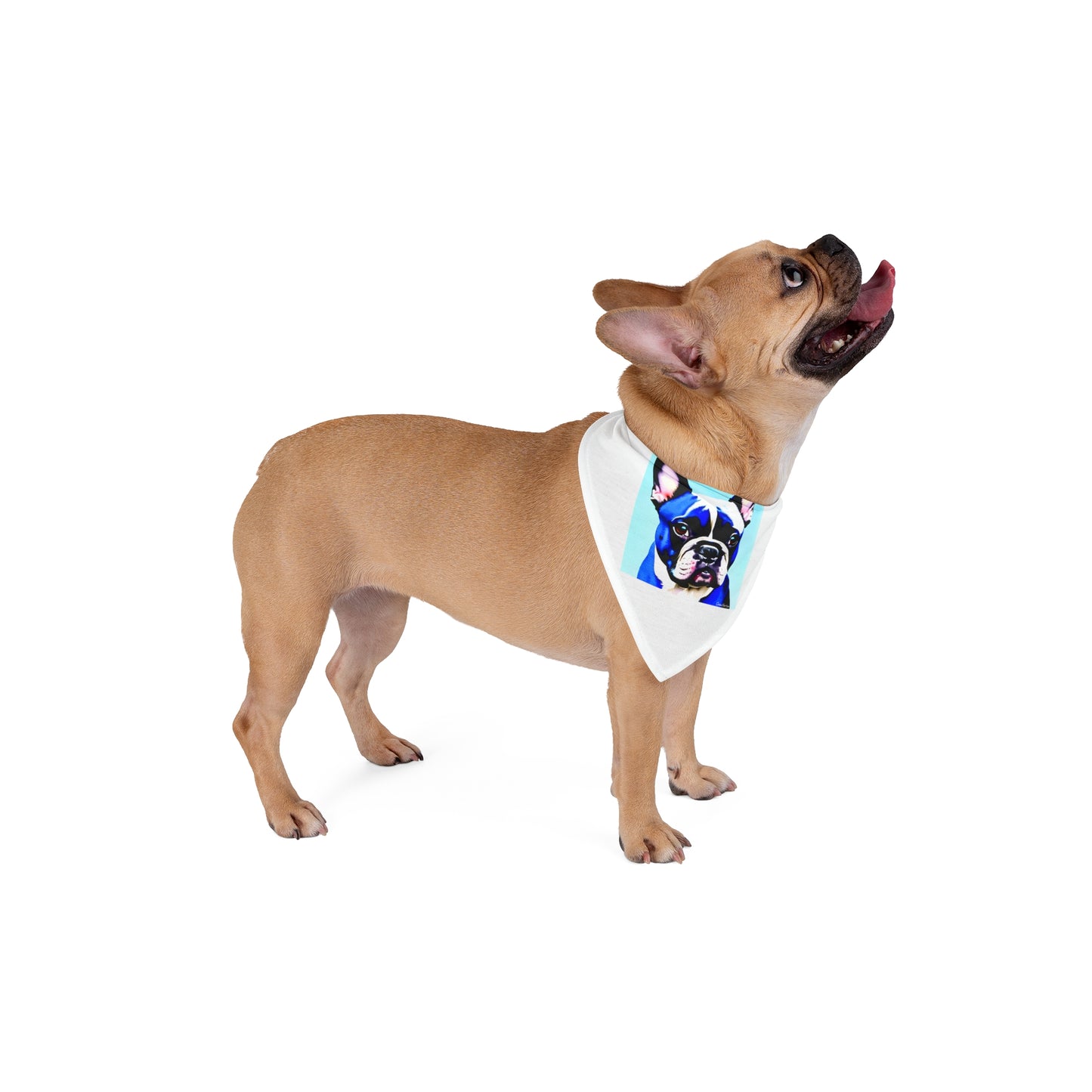 Blue Frenchie Pet Bandana