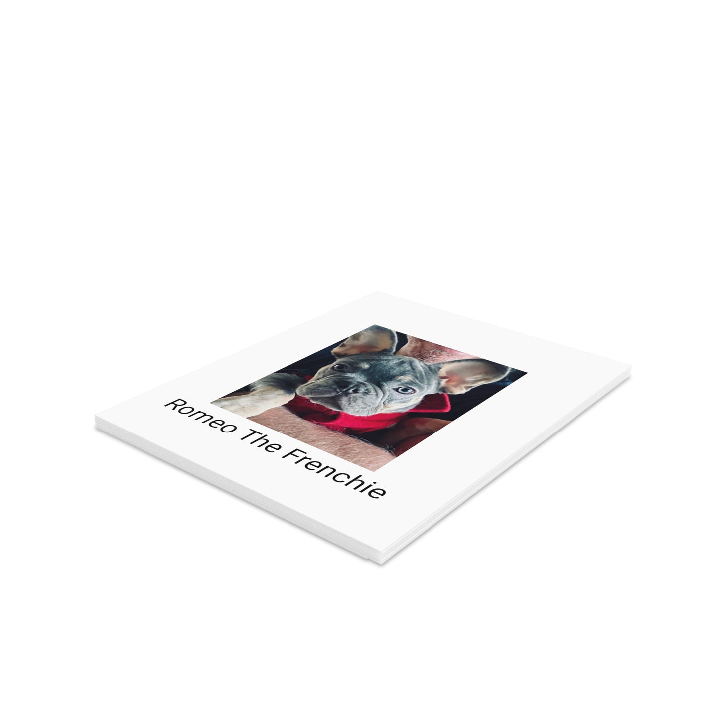 Romeo The Frenchie Greeting cards (8, 16, and 24 pcs)