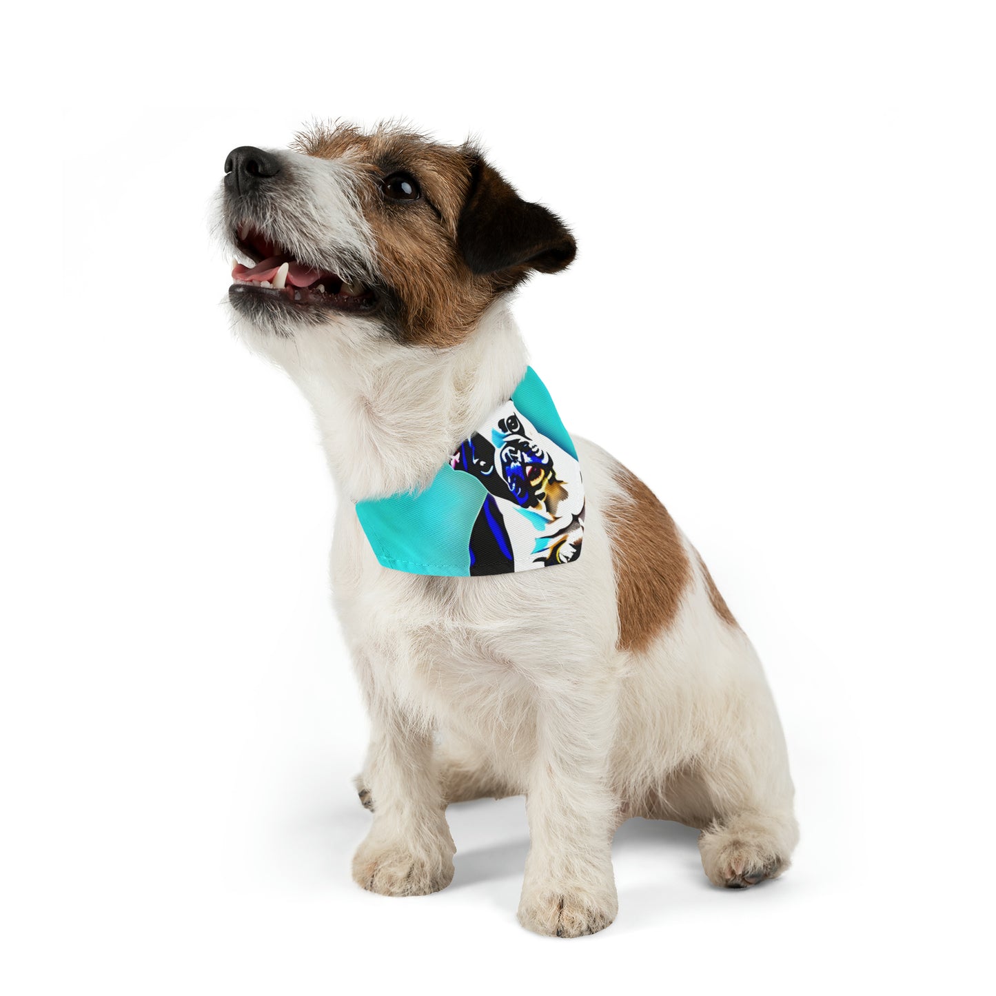 Frenchie on a Skateboard Pet Bandana Collar
