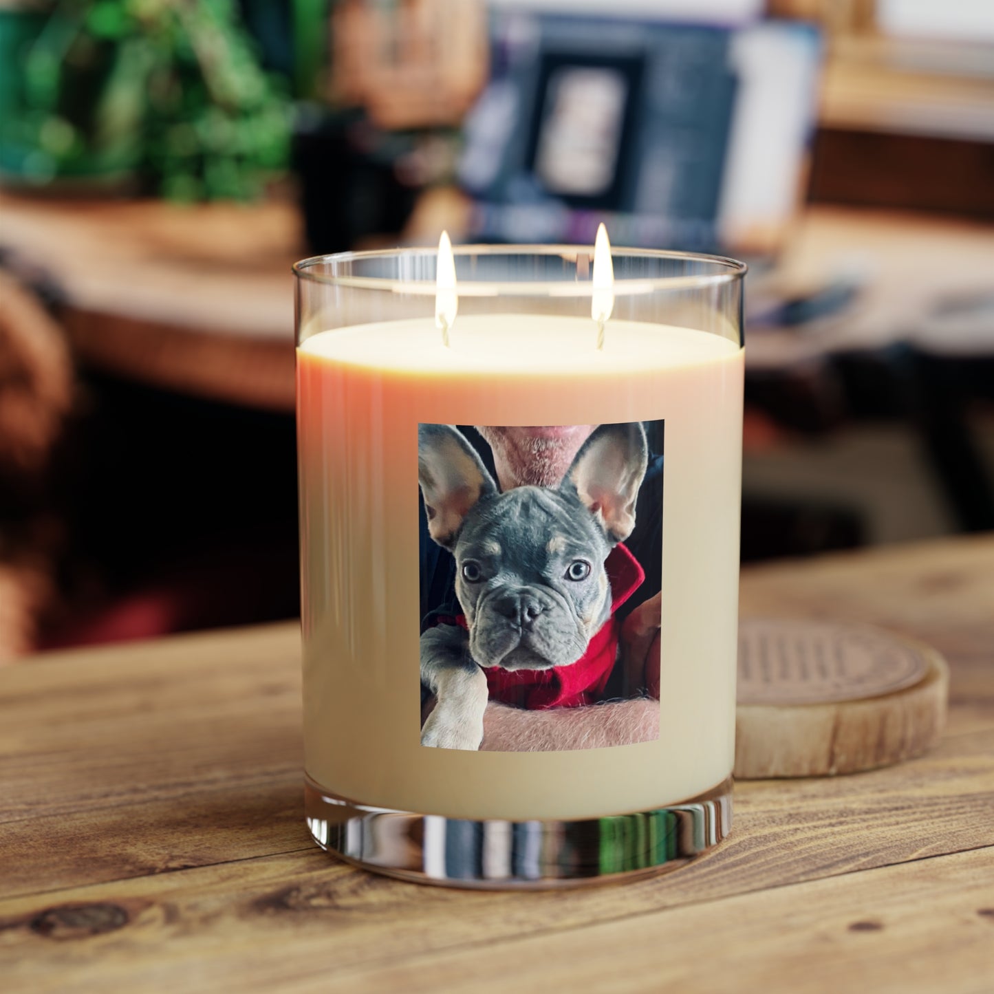 Romeo The Frenchie - Scented Candle - Full Glass, 11oz