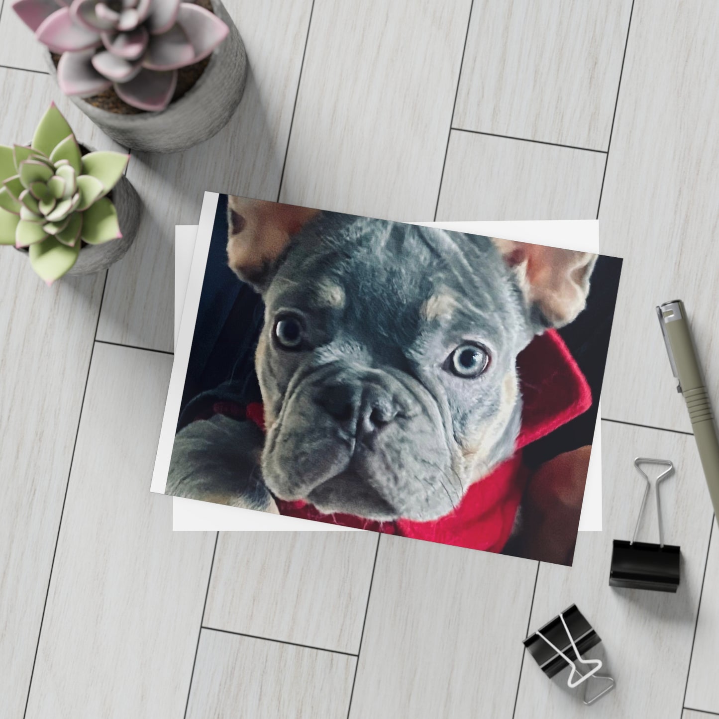 Romeo The Frenchie Postcard Bundles (envelopes included)