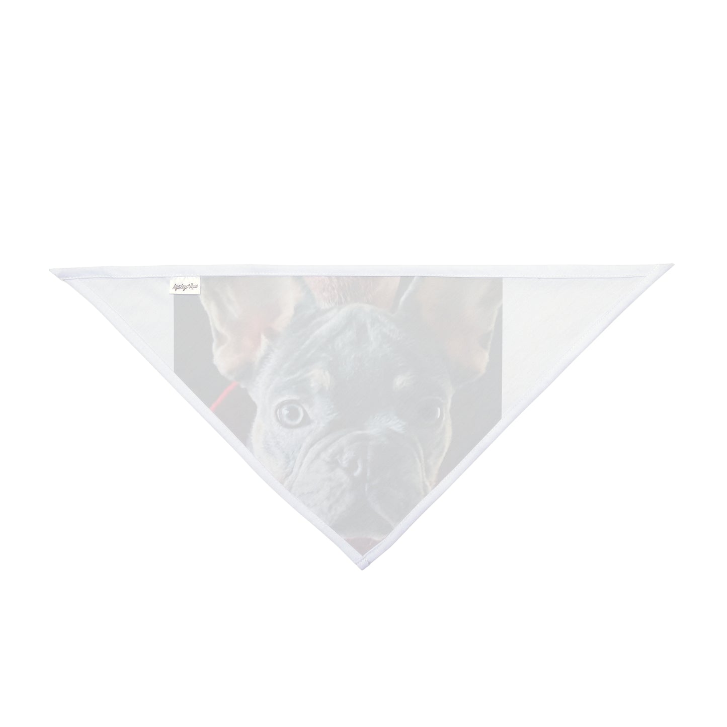 Romeo The Frenchie Pet Bandana #2