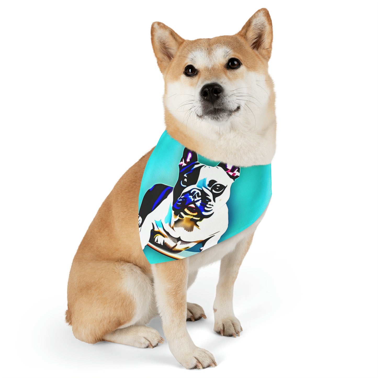 Frenchie on a Skateboard Pet Bandana Collar