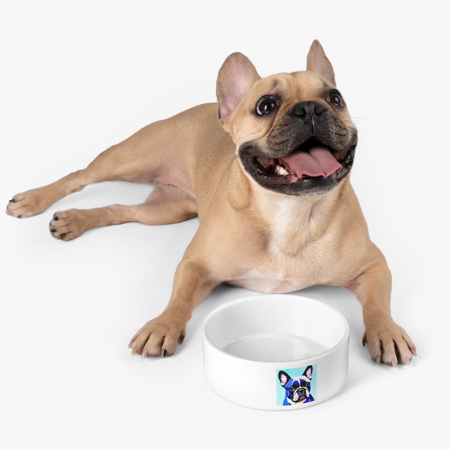 Blue Frenchie Pet Bowl