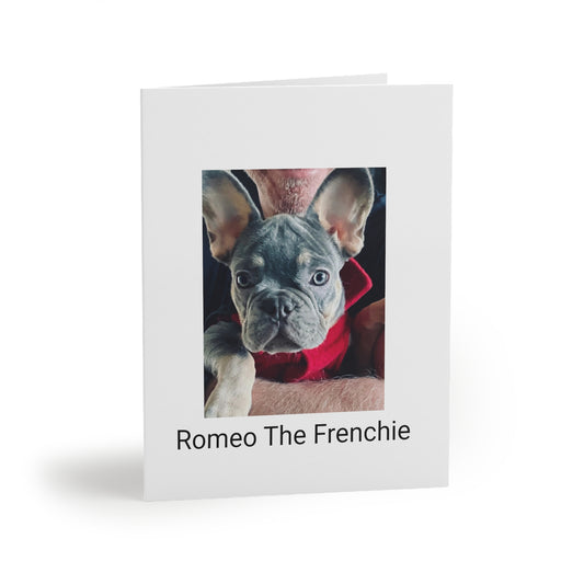 Romeo The Frenchie Greeting cards (8, 16, and 24 pcs)