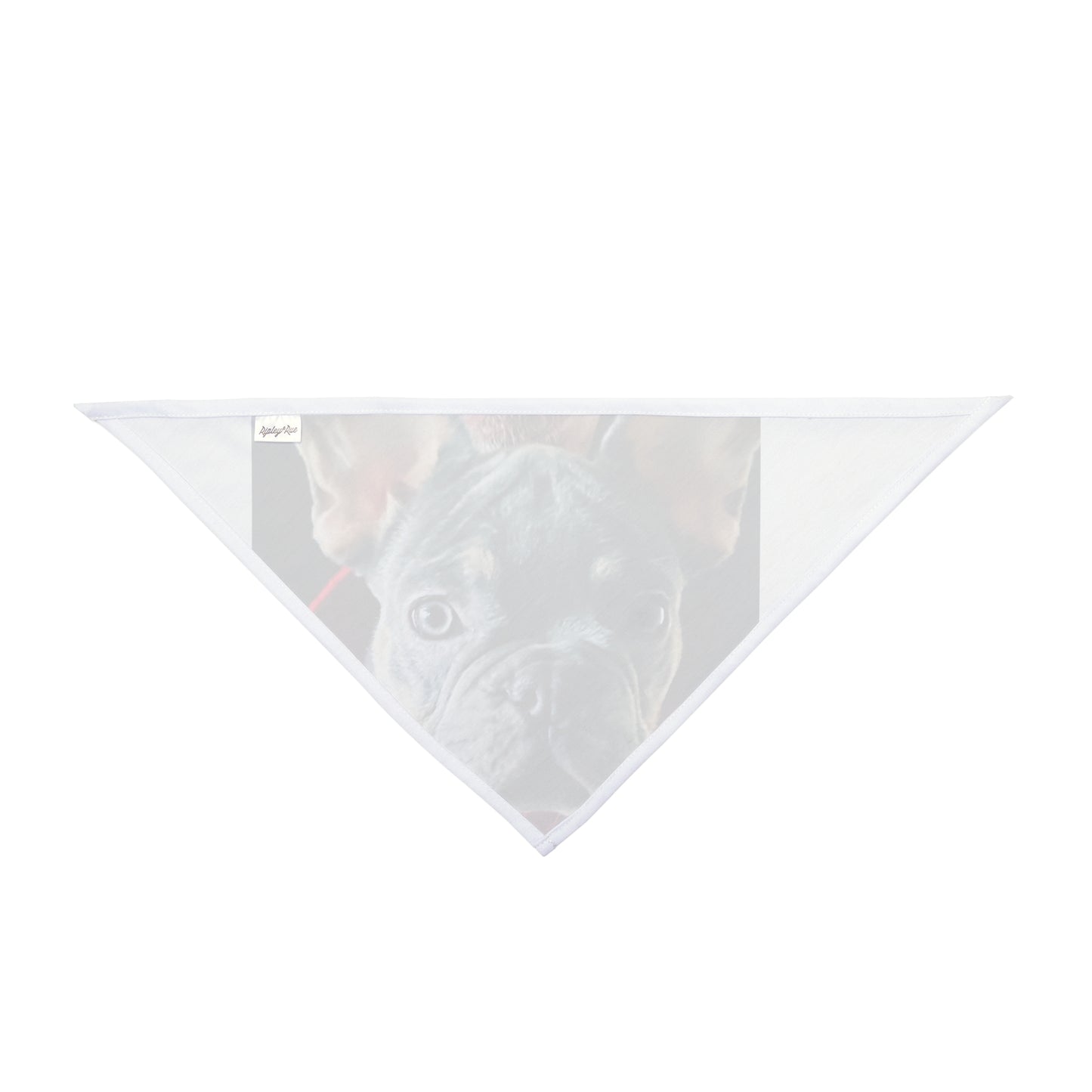 Romeo The Frenchie Pet Bandana #2