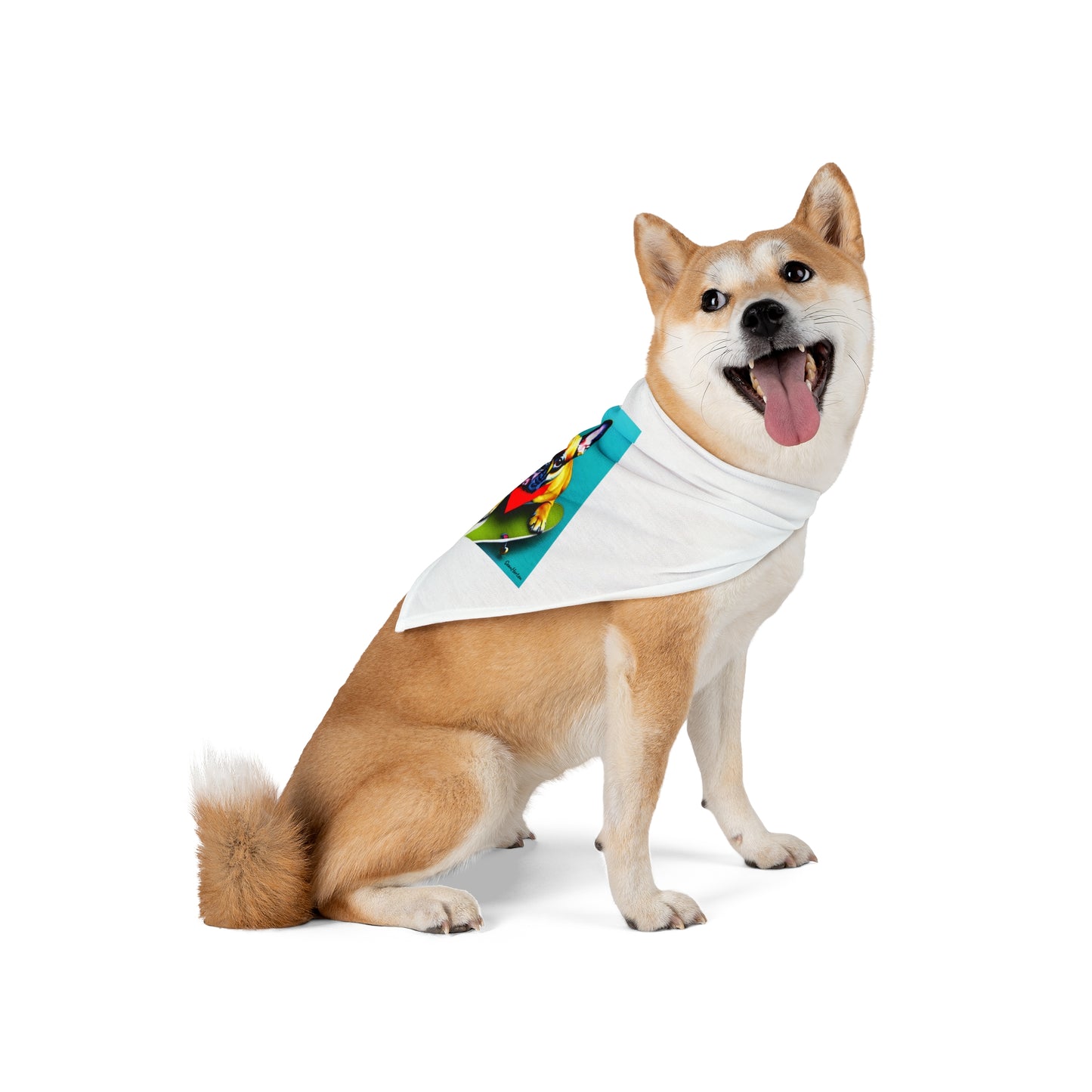 Frenchie on a Skateboard #2 Pet Bandana