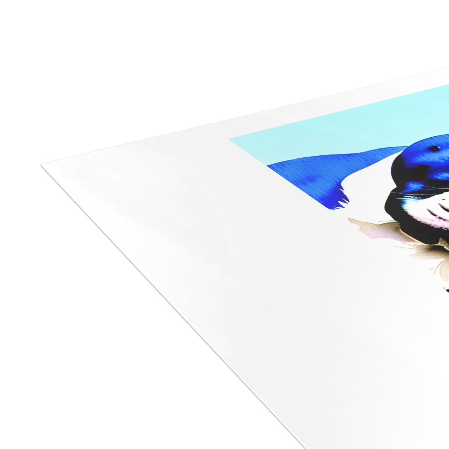 Blue Frenchie Postcard Bundles (envelopes included)