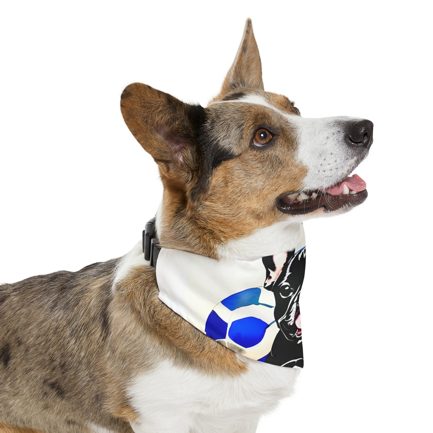 Frenchie with a Soccer Ball Pet Bandana Collar