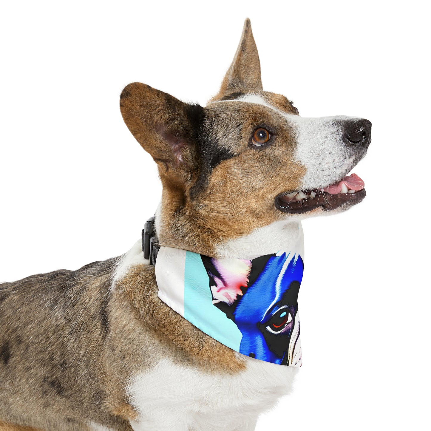 Blue Frenchie Pet Bandana Collar