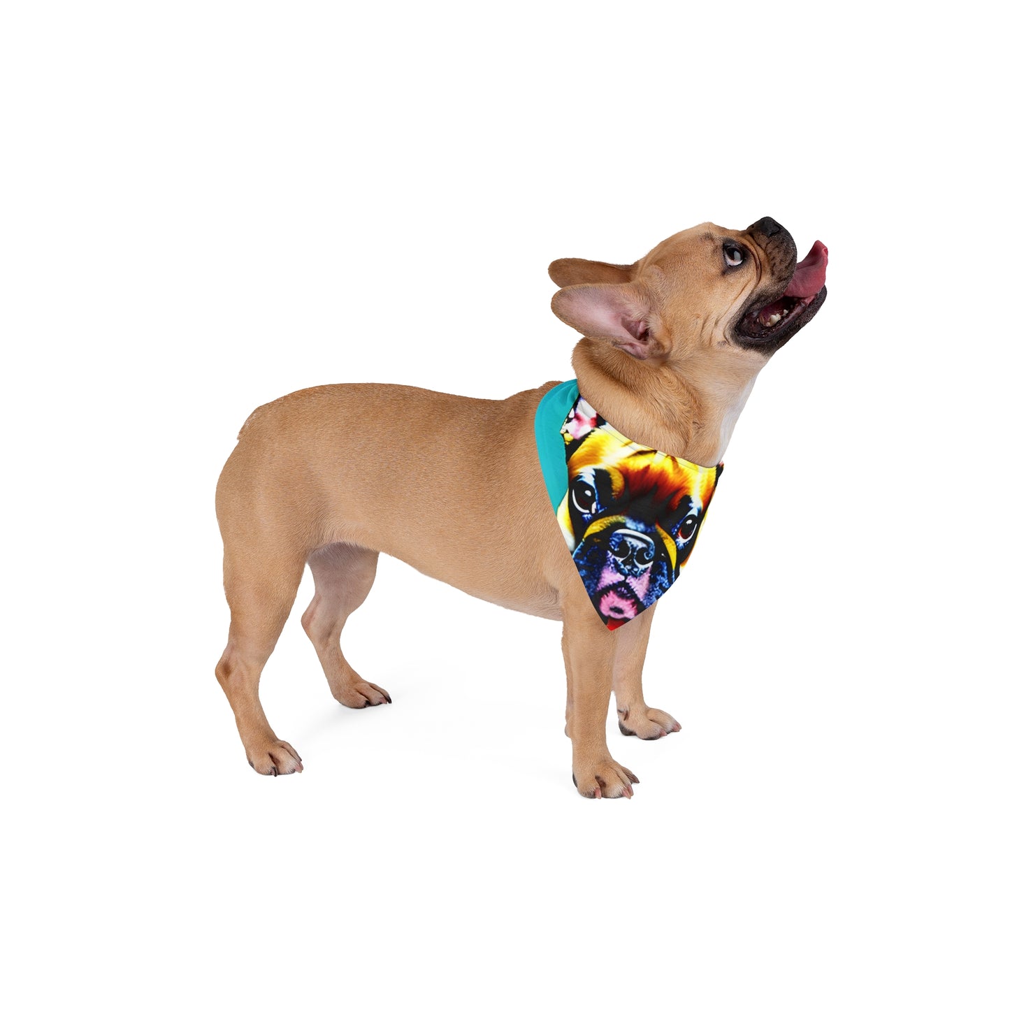 Frenchie on a Skateboard #2 Pet Bandana #2