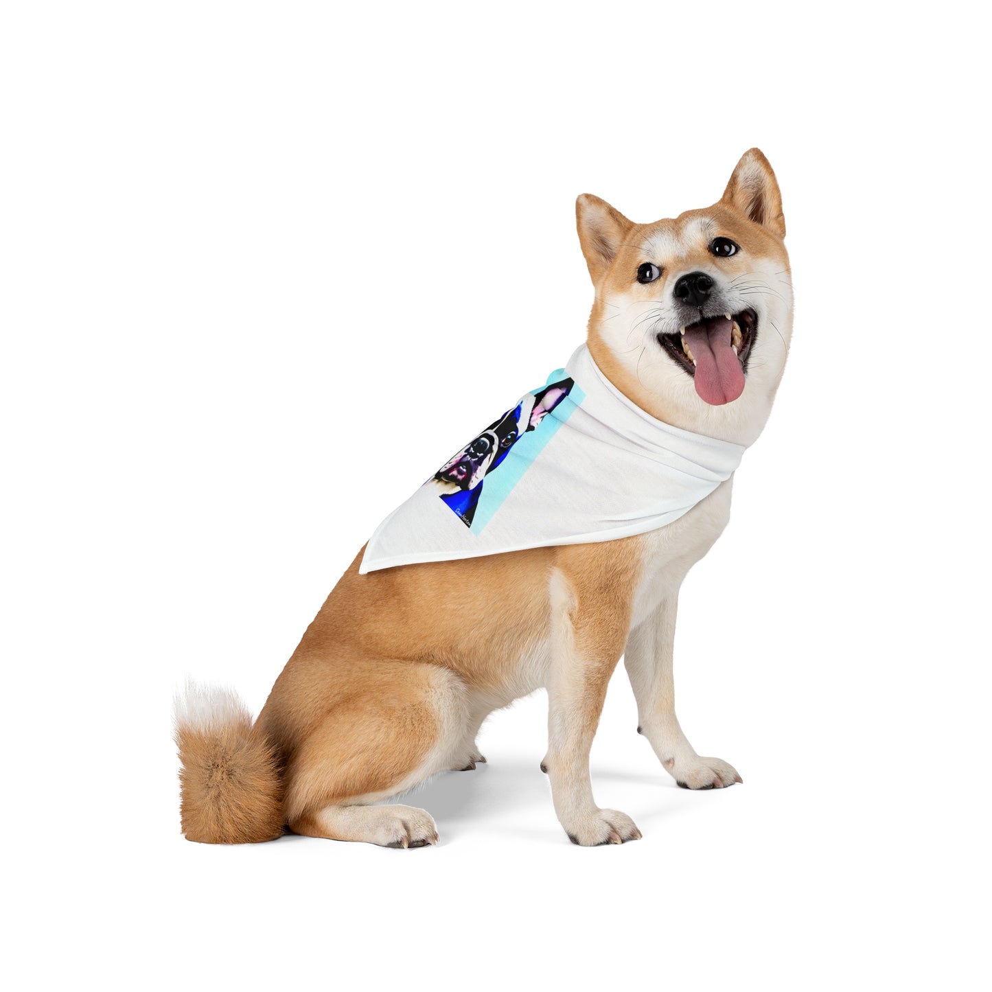 Blue Frenchie Pet Bandana