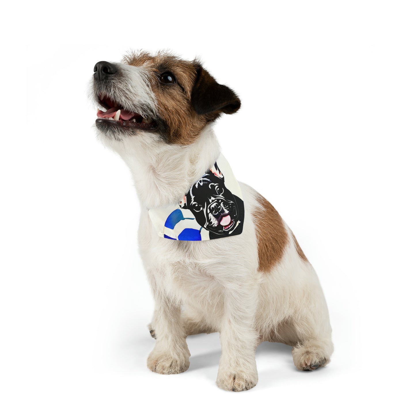Frenchie with a Soccer Ball Pet Bandana Collar