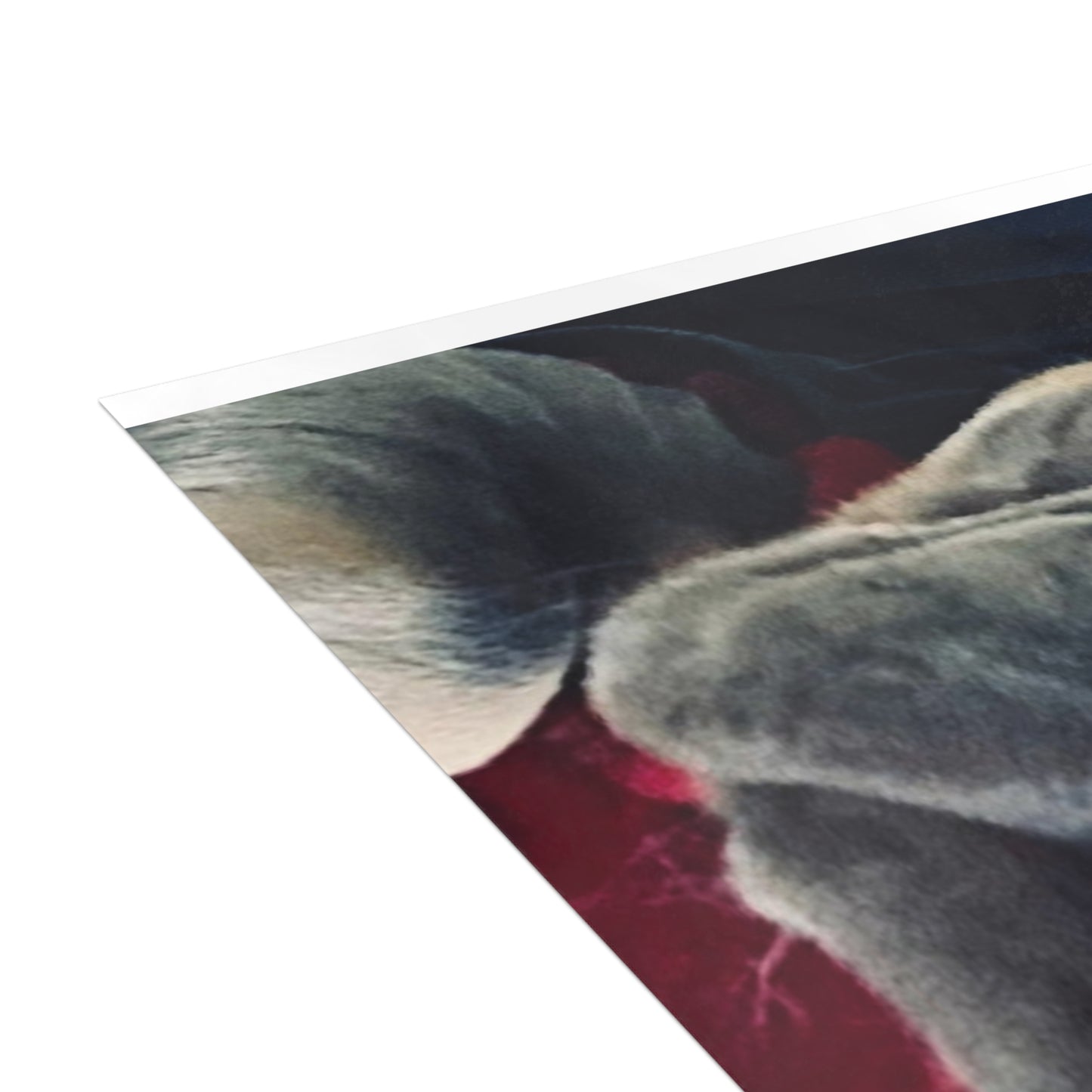 Romeo The Frenchie Postcard Bundles (envelopes included)