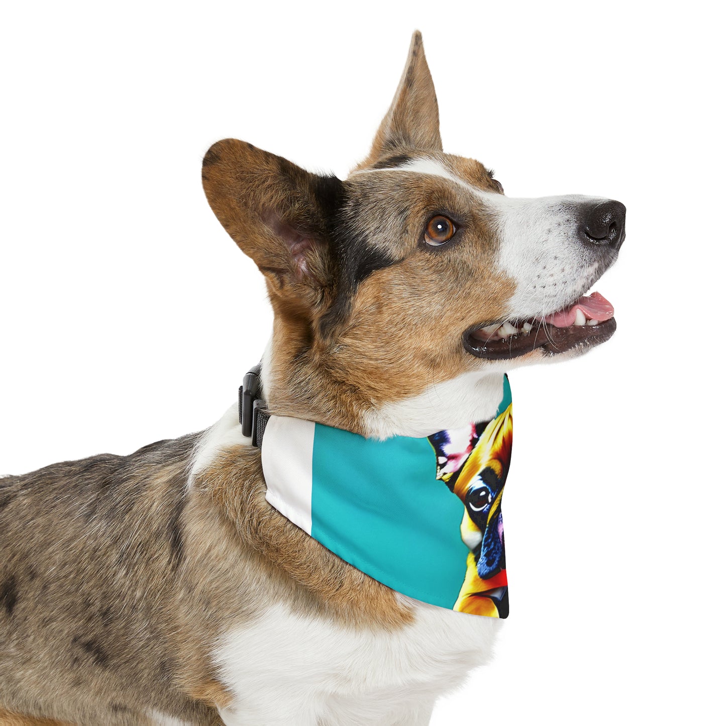 Frenchie on a Skateboard #2 Pet Bandana Collar