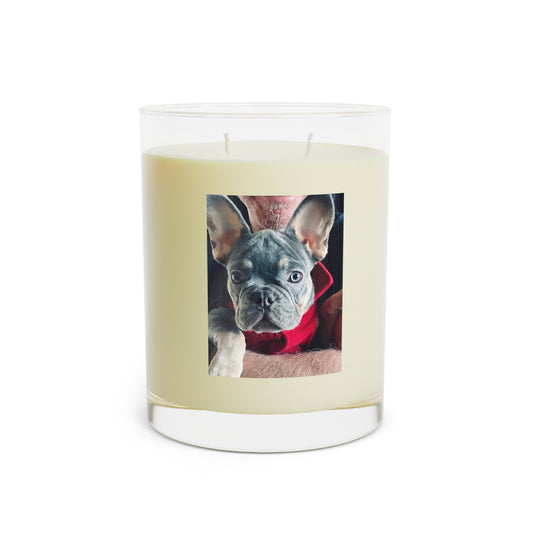 Romeo The Frenchie - Scented Candle - Full Glass, 11oz